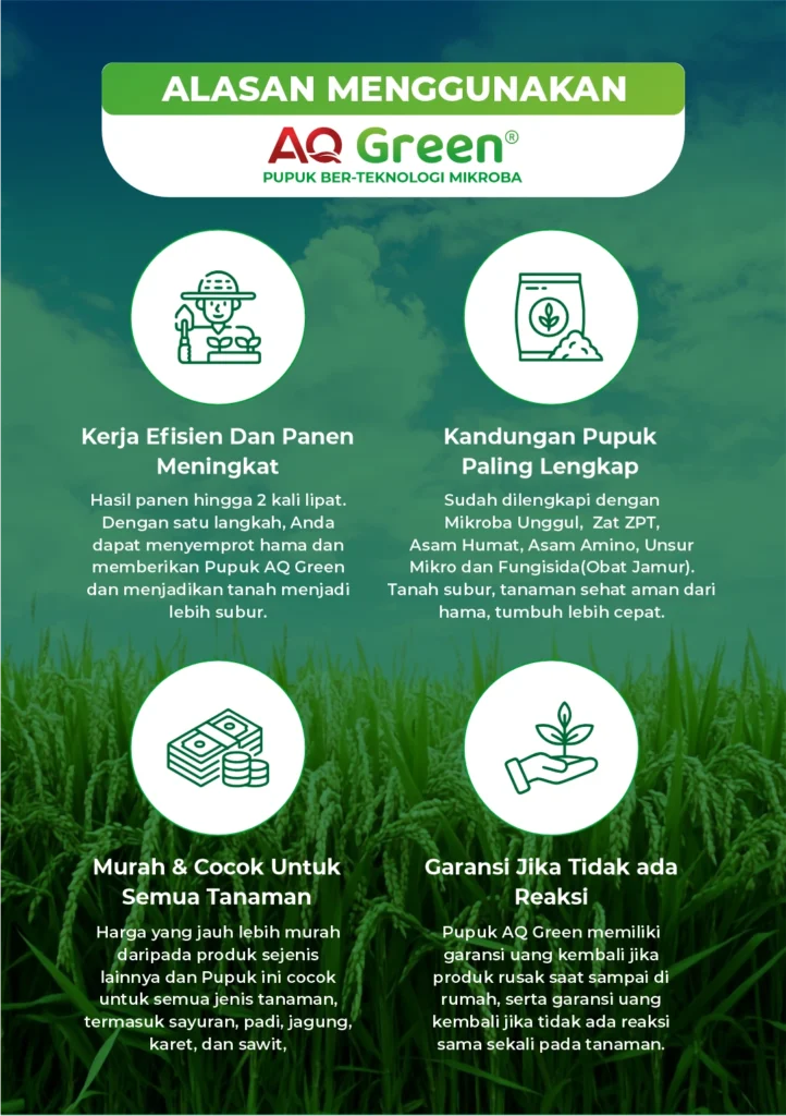 ezgif-58f58c9cda1745-722x1024 ezgif-58f58c9cda1745-722x1024