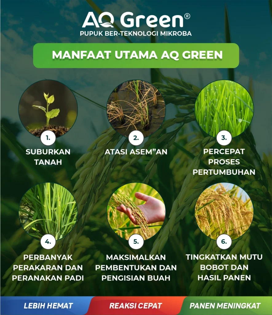 ezgif-5a5e476f4a7b97-885x1024 ezgif-5a5e476f4a7b97-885x1024