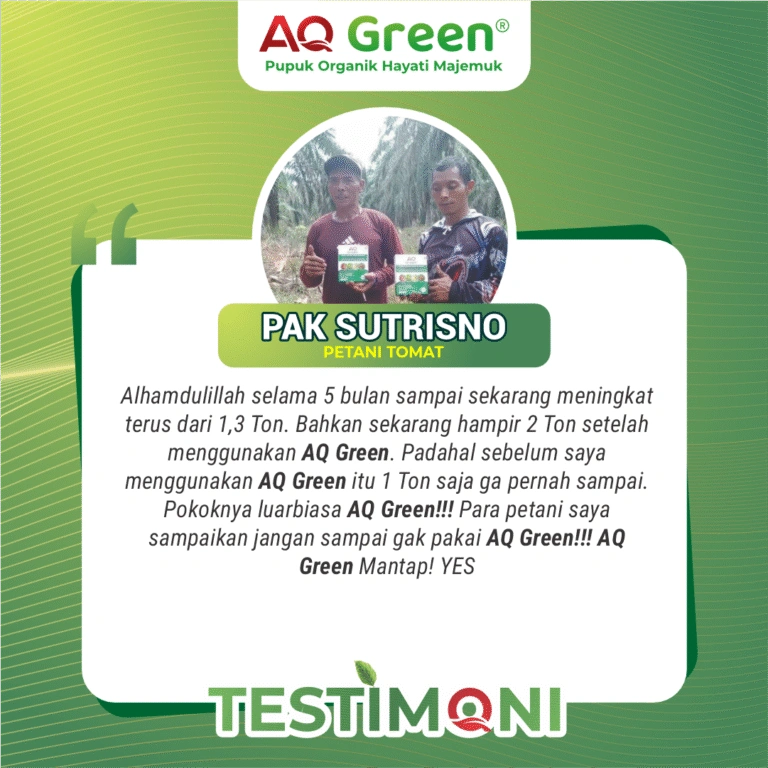 ezgif-6942ffd5fee82c