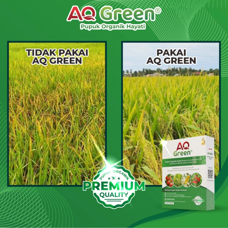 ezgif-6bb53032baab08