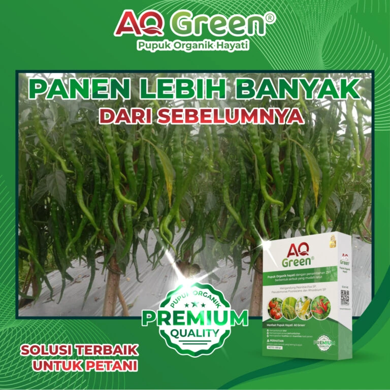 a green plant with a box of green liquid