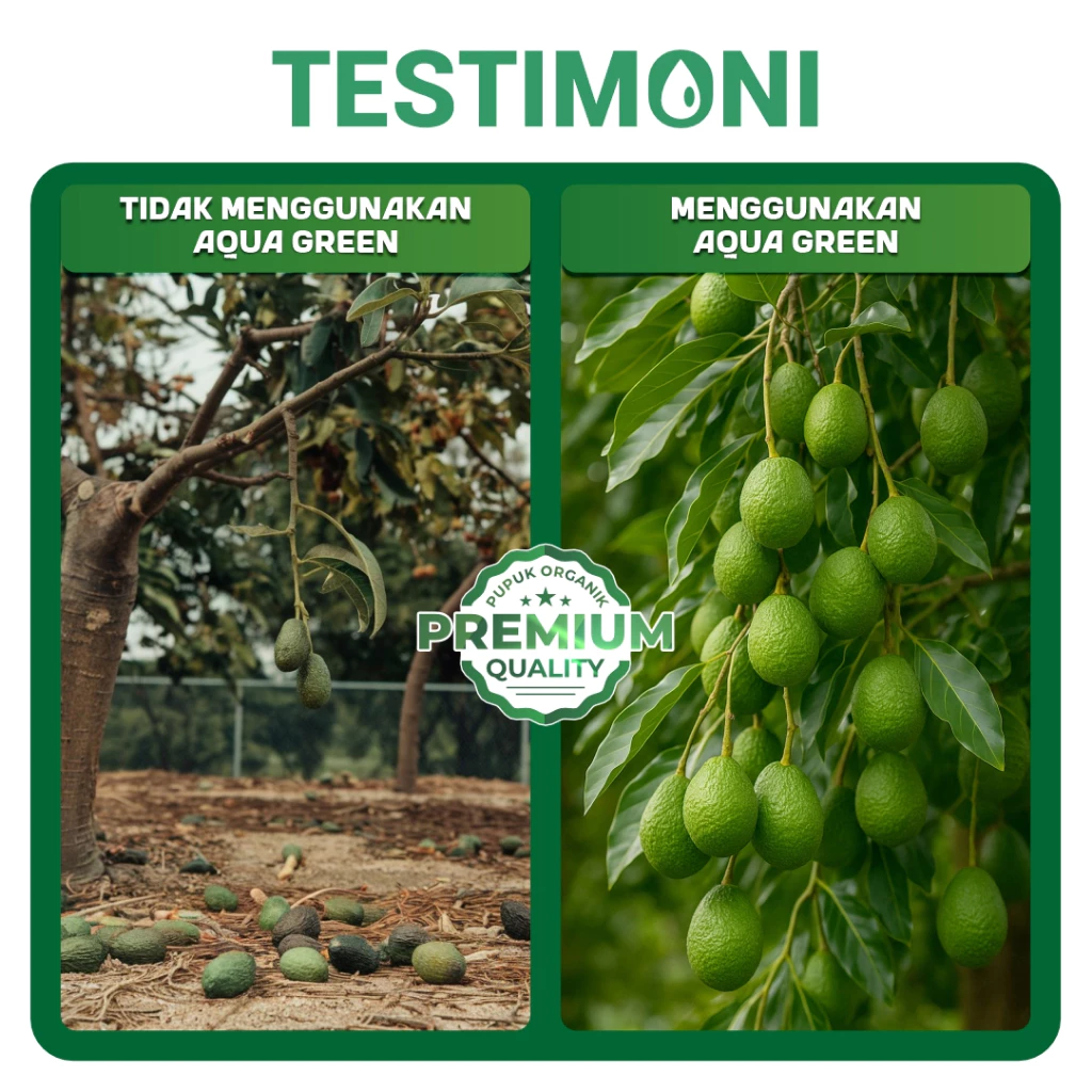 id-11134207-7ra0g-mc95d33ss6yt97