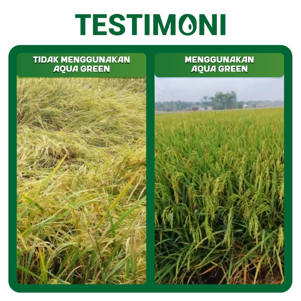 id-11134207-7ra0l-mc95d33t0mdhf6