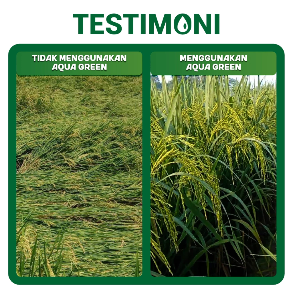 id-11134207-7ra0m-mc95d33sqsedbe