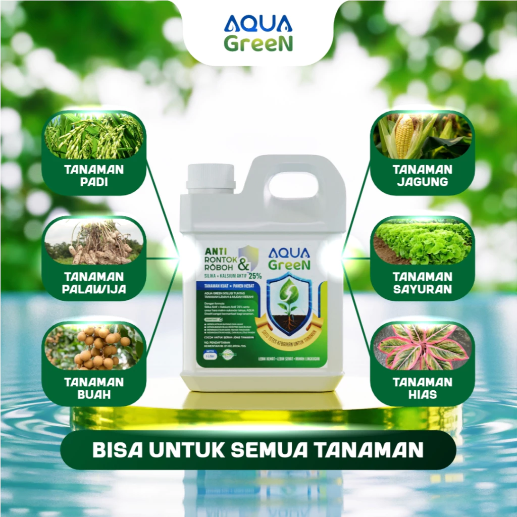 id-11134207-7ra0o-mc95d33sxt8l08