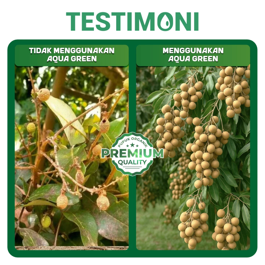 id-11134207-7ra0q-mc95d33stlj94c