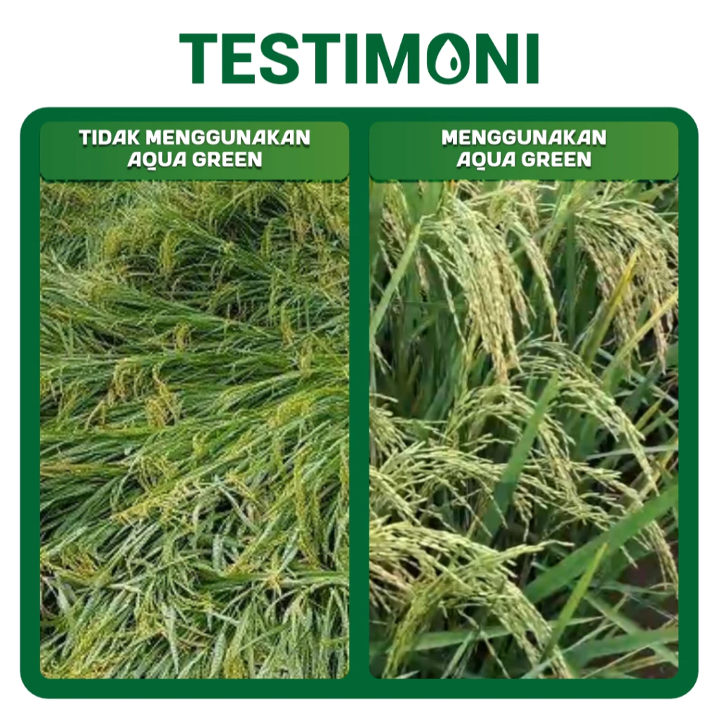 id-11134207-7ra0s-mc95d33sweo57f