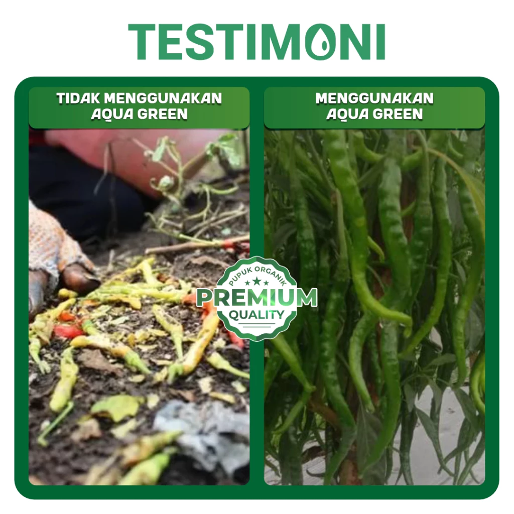 id-11134207-7ra0u-mc95d33sz7t10c