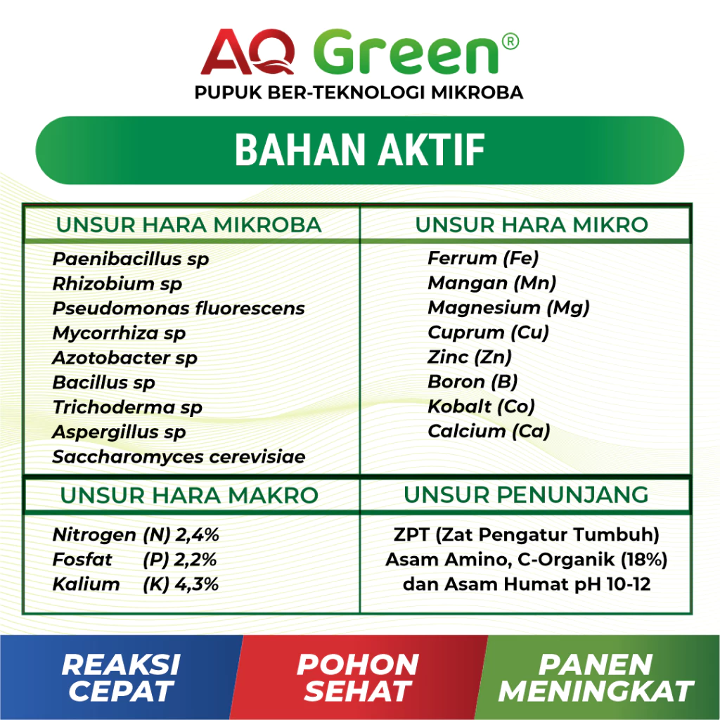 Pupuk Organik Hayati AQ Green untuk tanaman Karet AQ Green pupuk organik hayati serbuk larut air, pupuk aq green gold, pupuk padi, pupuk sawit, pupuk organik, pupuk karet, pupuk jagung, pupuk cair, pupuk pertanian, pupuk tanaman, pupuk berkualitas, toko pupuk pertanian terpercaya, distributor pupuk organik, pupuk untuk panen maksimal, beli pupuk online murah, pupuk alami untuk tanaman sayur, rekomendasi pupuk untuk cabe, pupuk cair organik, pupuk terbaik untuk tanaman hias, pupuk untuk tanaman buah, manfaat pupuk organik untuk tanaman, pupuk kompos, pupuk yang cocok untuk tanah asam, waktu terbaik untuk memberi pupuk, pupuk untuk panen maksimal, pupuk untuk cabe, pupuk terbaik untuk tanaman hias, pupuk untuk tanaman buah, manfaat pupuk organik untuk tanaman, pupuk untuk padi, pupuk padi terbaik, pupuk padi organik, pupuk padi kimia, jenis pupuk untuk tanaman padi, pupuk organik cair untuk padi, kombinasi pupuk padi yang bagukombinasi pupuk padi yang bagus, pupuk dasar untuk padi baru tanam, pupuk padi fase vegetatif dan generatif, paket pupuk lengkap untuk padi, meningkatkan hasil panen padi dengan pupuk, pupuk sawit, pupuk kelapa sawit, pupuk organik sawit, pupuk kimia untuk sawit,pupuk terbaik untuk kelapa sawit, jenis pupuk untuk tanaman sawit, cara pemupukan sawit yang benar, dosis pupuk sawit umur 1 tahun, jadwal pemupukan kelapa sawit, pupuk sawit untuk meningkatkan rendemen, pupuk daun untuk sawit, pupuk sawit tanpa subsidi, pemupukan sawit pada lahan gambut, rekomendasi pupuk sawit berbasis hasil panen, jual pupuk sawit NPK murah, distributor pupuk kelapa sawit, pupuk sawit harga terbaru 2025, pupuk sawit organik kemasan besar, beli pupuk sawit langsung dari pabrik, kapan waktu terbaik memupuk sawit?, pupuk apa yang cocok untuk sawit umur muda?, kenapa daun sawit menguning meski dipupuk?, bagaimana cara meningkatkan TBS dengan pupuk?, pupuk untuk sawit masa generatif, pupuk jagung, pupuk tanaman jagung, pupuk jagung terbaik, pupuk jagung organik, pupuk NPK jagung, jual pupuk jagung murah, harga pupuk jagung per sak, beli pupuk jagung organik, distributor pupuk jagung terpercaya, paket pupuk lengkap tanaman jagung, pupuk yang cocok untuk tanaman jagung, cara pemupukan jagung yang benar, jadwal pemupukan tanaman jagung, pupuk dasar untuk jagung, dosis pupuk urea untuk jagung per hektar, pupuk jagung umur 7 hari, pemupukan jagung sistem tumpangsari, pupuk jagung untuk hasil tinggi, perbedaan pupuk untuk jagung manis dan jagung hibrida, pupuk hayati untuk tanaman jagung, pupuk tanaman karet, pupuk karet, pupuk untuk pohon karet, pupuk karet terbaik, pupuk organik karet, jenis pupuk untuk tanaman karet, dosis pupuk untuk karet usia 1 tahun, jadwal pemupukan tanaman karet, pupuk NPK untuk tanaman karet, pemupukan karet agar produksi lateks meningkat, cara pemupukan karet yang benar, pupuk karet umur remaja, pupuk daun untuk tanaman karet, pupuk untuk karet belum disadap, pupuk hayati untuk tanaman karet, jual pupuk untuk tanaman karet, harga pupuk tanaman karet terbaru 2025, distributor pupuk untuk petani karet, bagaimana cara meningkatkan hasil sadap karet dengan pupuk?, pupuk apa yang cocok untuk karet di lahan masam?, kapan waktu terbaik pemupukan tanaman karet?, kenapa daun karet menguning meski sudah dipupuk?, perbedaan pupuk karet organik dan kimia