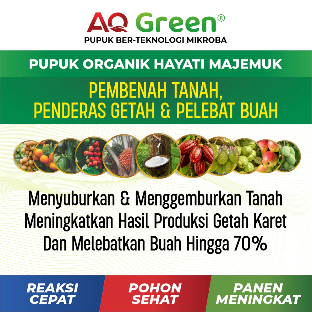 Pupuk Organik Hayati AQ Green AQ Green pupuk organik hayati serbuk larut air, pupuk aq green gold, pupuk padi, pupuk sawit, pupuk organik, pupuk karet, pupuk jagung, pupuk cair, pupuk pertanian, pupuk tanaman, pupuk berkualitas, toko pupuk pertanian terpercaya, distributor pupuk organik, pupuk untuk panen maksimal, beli pupuk online murah, pupuk alami untuk tanaman sayur, rekomendasi pupuk untuk cabe, pupuk cair organik, pupuk terbaik untuk tanaman hias, pupuk untuk tanaman buah, manfaat pupuk organik untuk tanaman, pupuk kompos, pupuk yang cocok untuk tanah asam, waktu terbaik untuk memberi pupuk, pupuk untuk panen maksimal, pupuk untuk cabe, pupuk terbaik untuk tanaman hias, pupuk untuk tanaman buah, manfaat pupuk organik untuk tanaman, pupuk untuk padi, pupuk padi terbaik, pupuk padi organik, pupuk padi kimia, jenis pupuk untuk tanaman padi, pupuk organik cair untuk padi, kombinasi pupuk padi yang bagukombinasi pupuk padi yang bagus, pupuk dasar untuk padi baru tanam, pupuk padi fase vegetatif dan generatif, paket pupuk lengkap untuk padi, meningkatkan hasil panen padi dengan pupuk, pupuk sawit, pupuk kelapa sawit, pupuk organik sawit, pupuk kimia untuk sawit,pupuk terbaik untuk kelapa sawit, jenis pupuk untuk tanaman sawit, cara pemupukan sawit yang benar, dosis pupuk sawit umur 1 tahun, jadwal pemupukan kelapa sawit, pupuk sawit untuk meningkatkan rendemen, pupuk daun untuk sawit, pupuk sawit tanpa subsidi, pemupukan sawit pada lahan gambut, rekomendasi pupuk sawit berbasis hasil panen, jual pupuk sawit NPK murah, distributor pupuk kelapa sawit, pupuk sawit harga terbaru 2025, pupuk sawit organik kemasan besar, beli pupuk sawit langsung dari pabrik, kapan waktu terbaik memupuk sawit?, pupuk apa yang cocok untuk sawit umur muda?, kenapa daun sawit menguning meski dipupuk?, bagaimana cara meningkatkan TBS dengan pupuk?, pupuk untuk sawit masa generatif, pupuk jagung, pupuk tanaman jagung, pupuk jagung terbaik, pupuk jagung organik, pupuk NPK jagung, jual pupuk jagung murah, harga pupuk jagung per sak, beli pupuk jagung organik, distributor pupuk jagung terpercaya, paket pupuk lengkap tanaman jagung, pupuk yang cocok untuk tanaman jagung, cara pemupukan jagung yang benar, jadwal pemupukan tanaman jagung, pupuk dasar untuk jagung, dosis pupuk urea untuk jagung per hektar, pupuk jagung umur 7 hari, pemupukan jagung sistem tumpangsari, pupuk jagung untuk hasil tinggi, perbedaan pupuk untuk jagung manis dan jagung hibrida, pupuk hayati untuk tanaman jagung, pupuk tanaman karet, pupuk karet, pupuk untuk pohon karet, pupuk karet terbaik, pupuk organik karet, jenis pupuk untuk tanaman karet, dosis pupuk untuk karet usia 1 tahun, jadwal pemupukan tanaman karet, pupuk NPK untuk tanaman karet, pemupukan karet agar produksi lateks meningkat, cara pemupukan karet yang benar, pupuk karet umur remaja, pupuk daun untuk tanaman karet, pupuk untuk karet belum disadap, pupuk hayati untuk tanaman karet, jual pupuk untuk tanaman karet, harga pupuk tanaman karet terbaru 2025, distributor pupuk untuk petani karet, bagaimana cara meningkatkan hasil sadap karet dengan pupuk?, pupuk apa yang cocok untuk karet di lahan masam?, kapan waktu terbaik pemupukan tanaman karet?, kenapa daun karet menguning meski sudah dipupuk?, perbedaan pupuk karet organik dan kimia