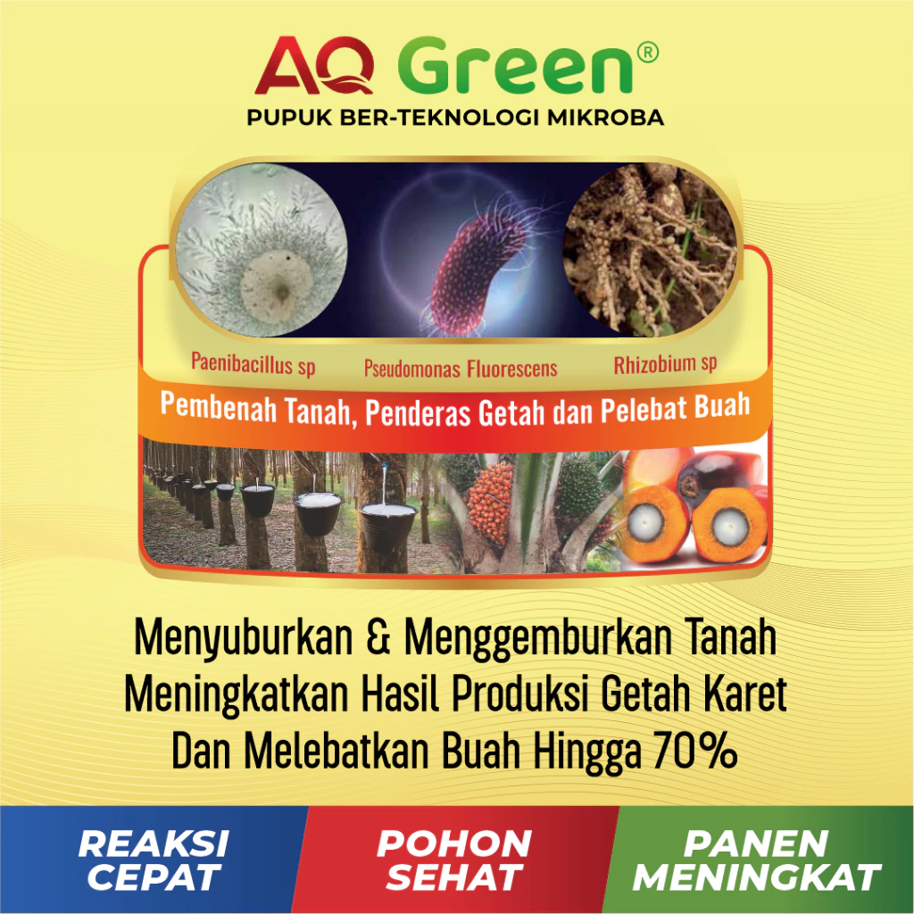Pupuk Aq Green Gold Pupuk Padi Pupuk Sawit Pupuk Organik Pupuk Karet Pupuk Jagung Pupuk Cair Pupuk Pertanian Pupuk Tanaman Pupuk Berkualitas Toko Pupuk Pertanian 2